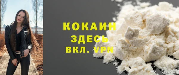 тгк Сатка