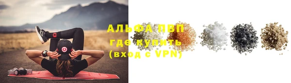 эйфоретик Богданович