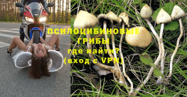 ALPHA-PVP Богородицк