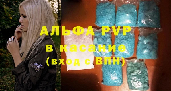 эйфоретик Богданович