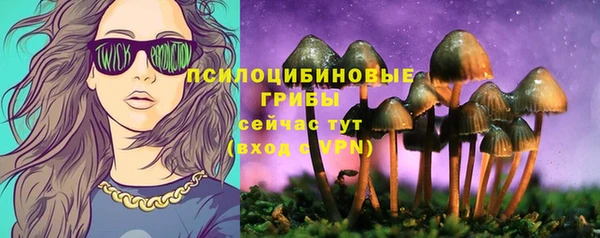эйфоретик Богданович