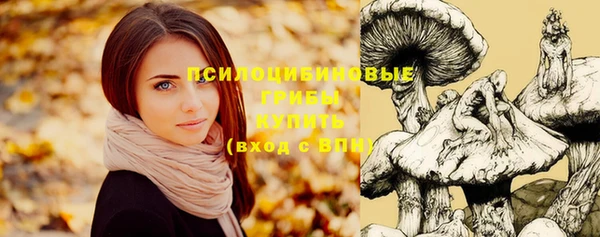 спиды Саяногорск