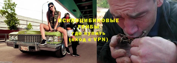 эйфоретик Богданович