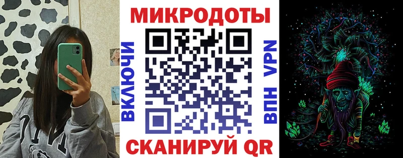 как найти закладки Макаров Галлюциногенные грибы Psilocybine cubensis